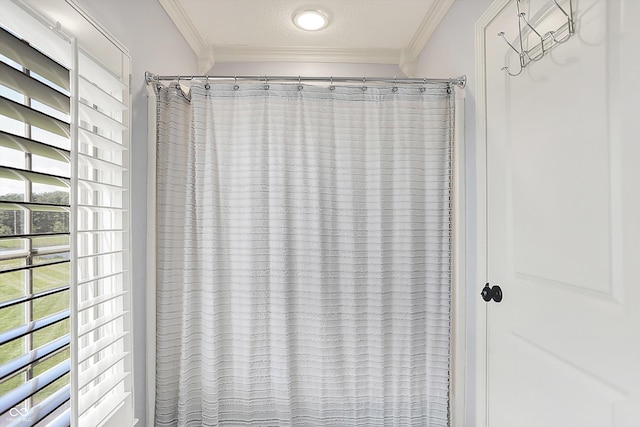 3398 Nottinghill Blvd, Plainfield, IN 46168 - bathroom view of ornamental molding, a shower with shower curtain, and recessed lighting