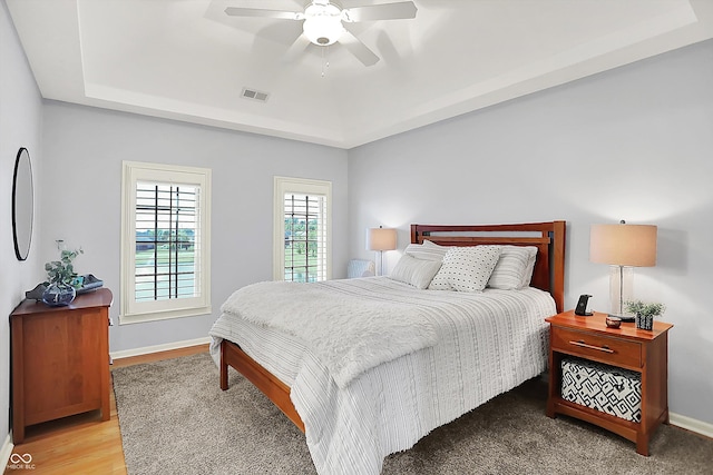 3398 Nottinghill Blvd, Plainfield, IN 46168 - bedroom featuring a tray ceiling, baseboards, a ceiling fan, and light wood-type flooring