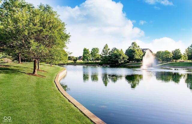 2436 Gwinnett St, Carmel, IN 46032 - water view