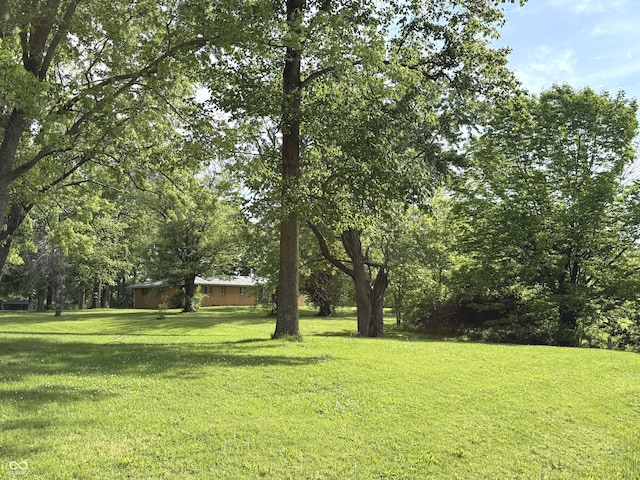 6498 N County Road 475 E, Pittsboro, IN 46167 - view of grassy yard