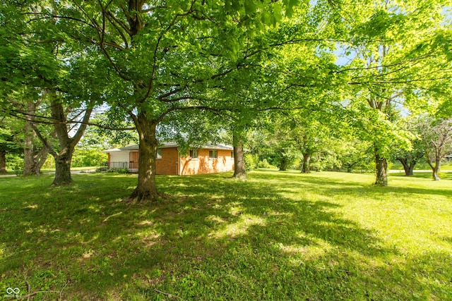 6498 N County Road 475 E, Pittsboro, IN 46167 - view of green lawn
