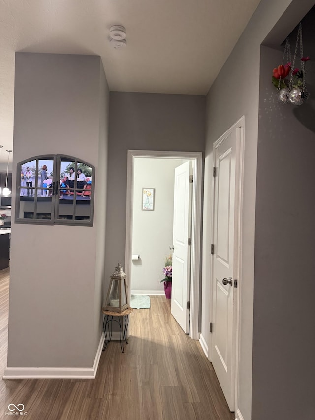 8241 Morera Ct, Indianapolis, IN 46237 - corridor featuring wood finished floors
