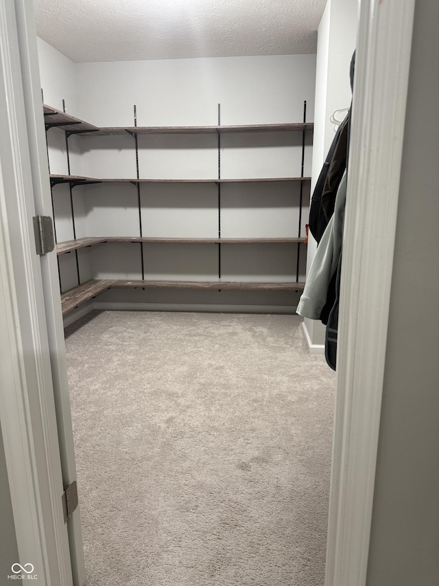 8241 Morera Ct, Indianapolis, IN 46237 - view of storage