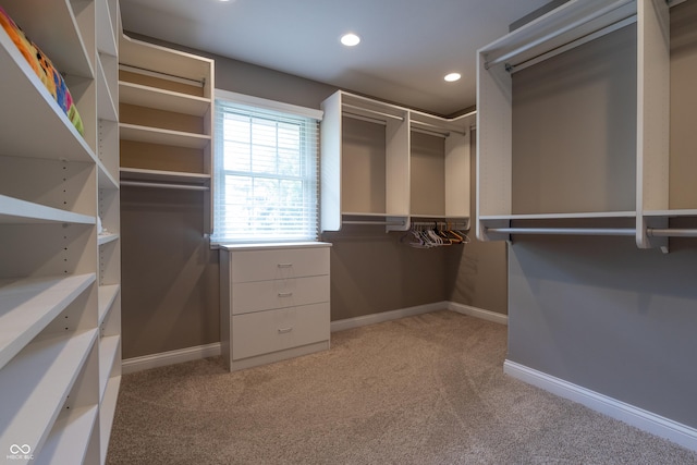 876 Box Turtle Ct, Columbus, IN 47201 - spacious closet with light colored carpet