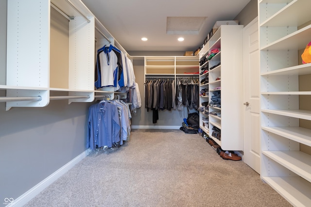 876 Box Turtle Ct, Columbus, IN 47201 - walk in closet with attic access and carpet
