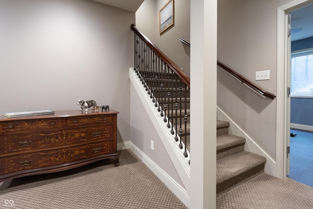 876 Box Turtle Ct, Columbus, IN 47201 - stairs featuring carpet floors and baseboards