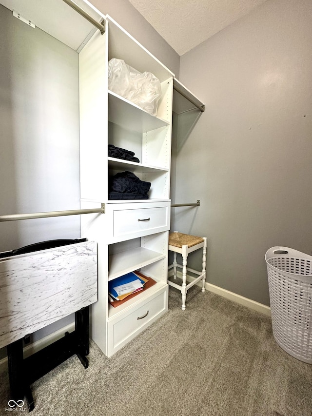 252 Patriots Lndg, Fillmore, IN 46128 - spacious closet featuring carpet flooring