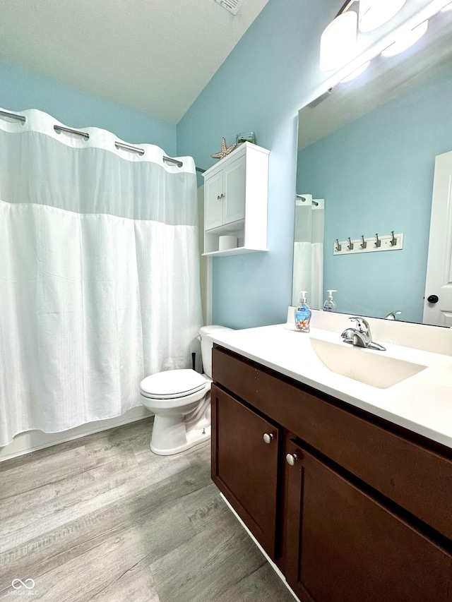 252 Patriots Lndg, Fillmore, IN 46128 - bathroom with vanity, wood finished floors, toilet, and a shower with curtain
