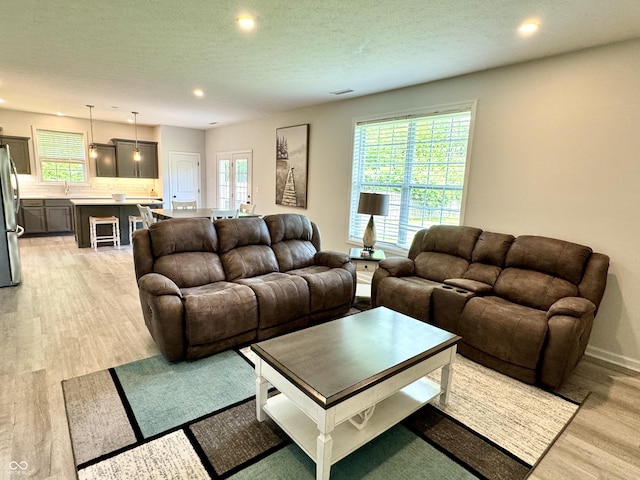 252 Patriots Lndg, Fillmore, IN 46128 - living area featuring light wood-style floors, recessed lighting, plenty of natural light, baseboards, and a textured ceiling