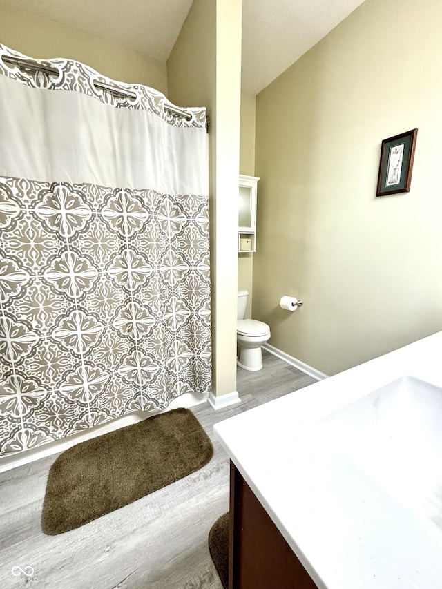 252 Patriots Lndg, Fillmore, IN 46128 - full bathroom featuring vanity, wood finished floors, toilet, and a shower with shower curtain