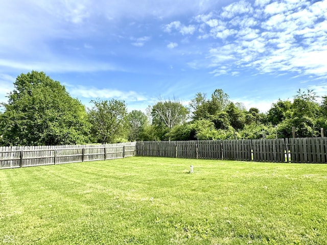 252 Patriots Lndg, Fillmore, IN 46128 - view of yard