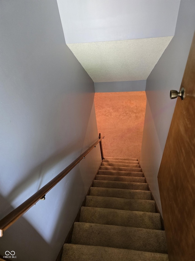 1805 River Run Trl, Fort Wayne, IN 46825 - stairs featuring carpet floors