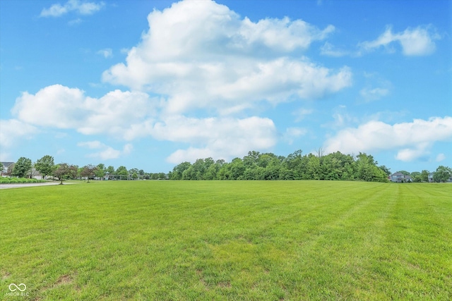 16071 Prince Ct, Noblesville, IN 46062 - view of green lawn