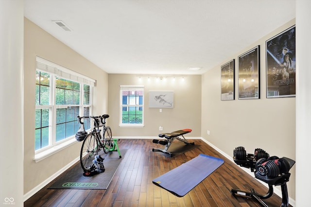 73 11th St NW, Carmel, IN 46032 - workout room featuring plenty of natural light, baseboards, and dark wood-type flooring