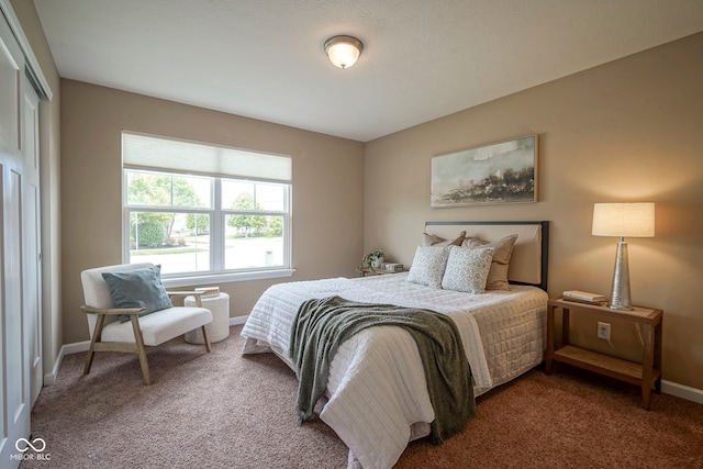 695 Overcup St, Westfield, IN 46074 - carpeted bedroom with baseboards and a closet