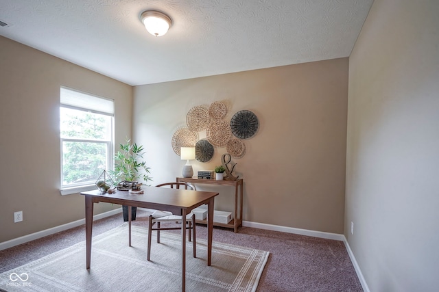695 Overcup St, Westfield, IN 46074 - office area featuring carpet floors, baseboards, and a textured ceiling