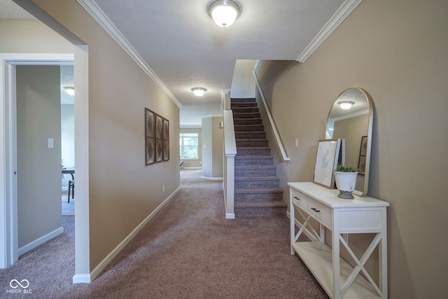 695 Overcup St, Westfield, IN 46074 - corridor with carpet floors, ornamental molding, baseboards, a textured ceiling, and stairway