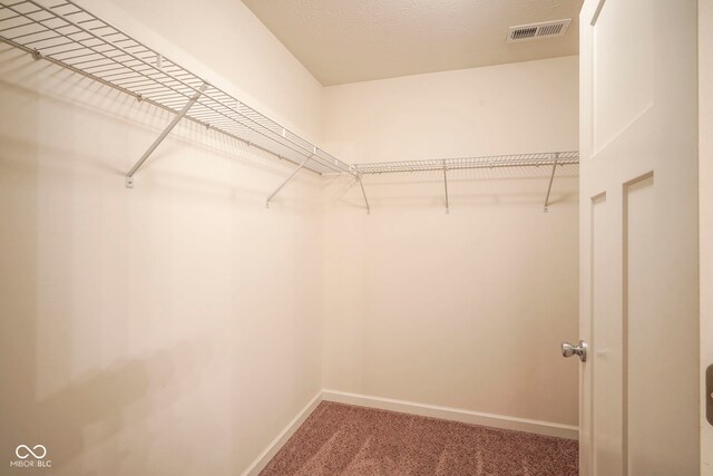 695 Overcup St, Westfield, IN 46074 - spacious closet with carpet