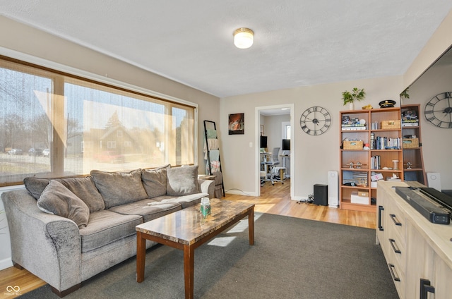 249 Spring St, Plainfield, IN 46168 - living room with light wood-style flooring and baseboards