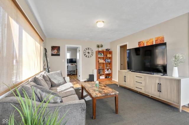 249 Spring St, Plainfield, IN 46168 - view of living area