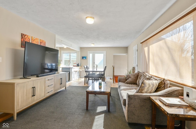 249 Spring St, Plainfield, IN 46168 - living area with a textured ceiling