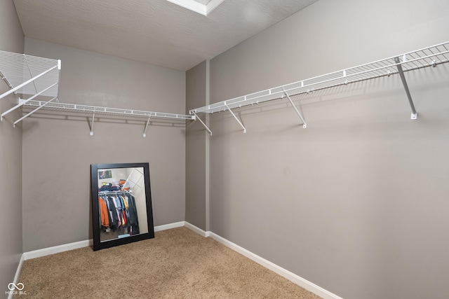 2626 Solidago Dr, Plainfield, IN 46168 - walk in closet featuring light colored carpet