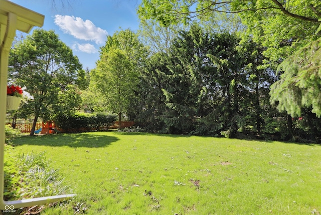 12335 Old Stone Dr, Indianapolis, IN 46236 - view of yard