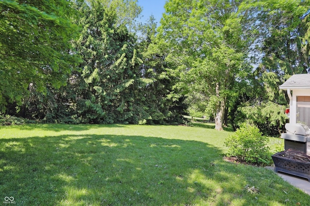 12335 Old Stone Dr, Indianapolis, IN 46236 - view of green lawn