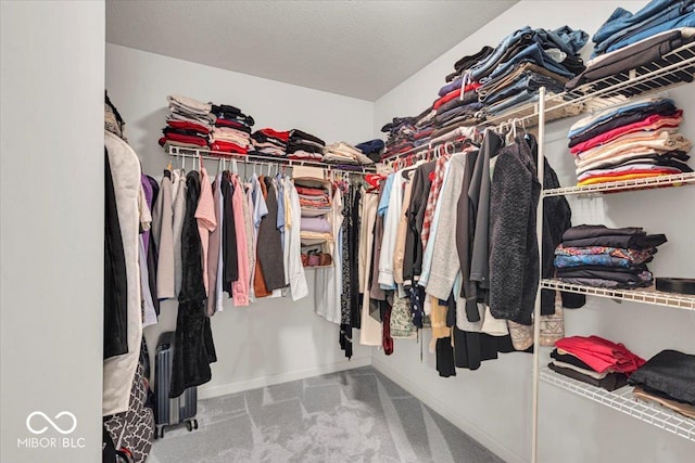 13495 Forest Glade Dr, Fishers, IN 46037 - spacious closet featuring carpet floors