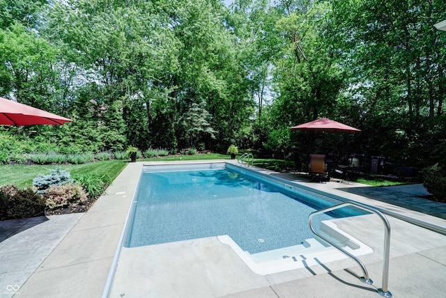 9154 Sargent Manor Ct, Indianapolis, IN 46256 - outdoor pool featuring a patio and view of scattered trees
