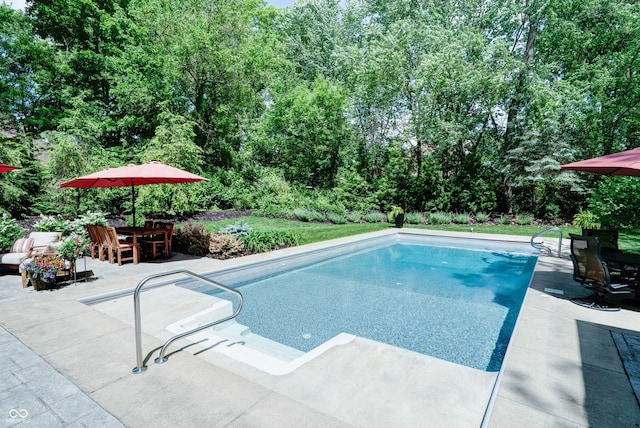 9154 Sargent Manor Ct, Indianapolis, IN 46256 - swimming pool with a patio