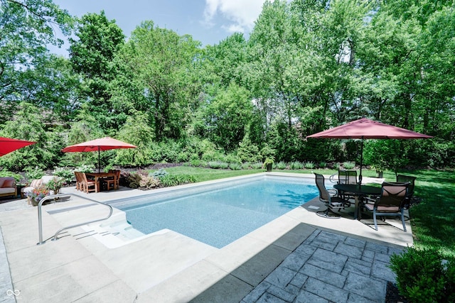 9154 Sargent Manor Ct, Indianapolis, IN 46256 - swimming pool with outdoor dining space and a patio area