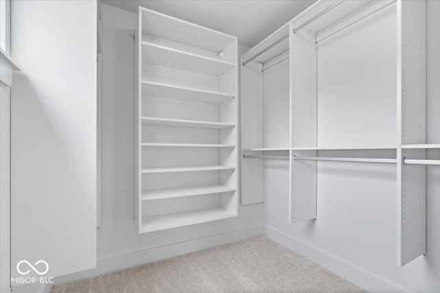 2448 Broadway St, Indianapolis, IN 46205 - walk in closet with carpet floors