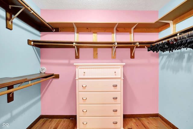 50 Charing Cross Rd, Indianapolis, IN 46217 - spacious closet with light wood-style floors