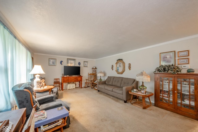2900 Helms Rd, Anderson, IN 46016 - carpeted living area with crown molding