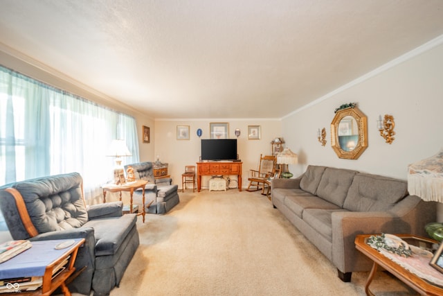 2900 Helms Rd, Anderson, IN 46016 - living area with light colored carpet and ornamental molding