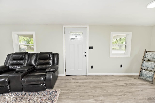 4910 W Caven St, Indianapolis, IN 46241 - living area with light wood-style flooring, baseboards, and plenty of natural light