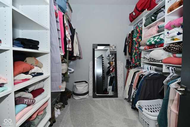 7070 Dean Rd, Indianapolis, IN 46220 - spacious closet with carpet