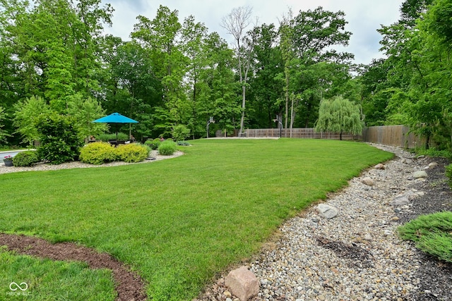 7070 Dean Rd, Indianapolis, IN 46220 - view of yard