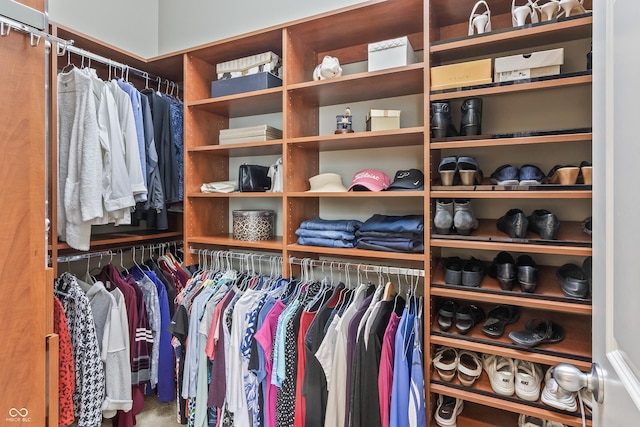 16502 Grand Cypress Dr, Noblesville, IN 46060 - view of walk in closet