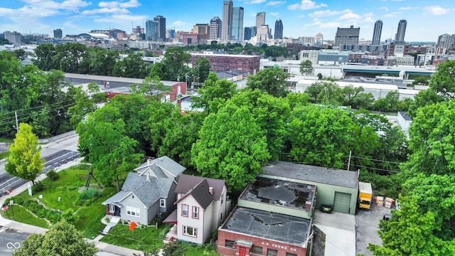 514 Dorman St, Indianapolis, IN 46202 - bird's eye view of city skyline