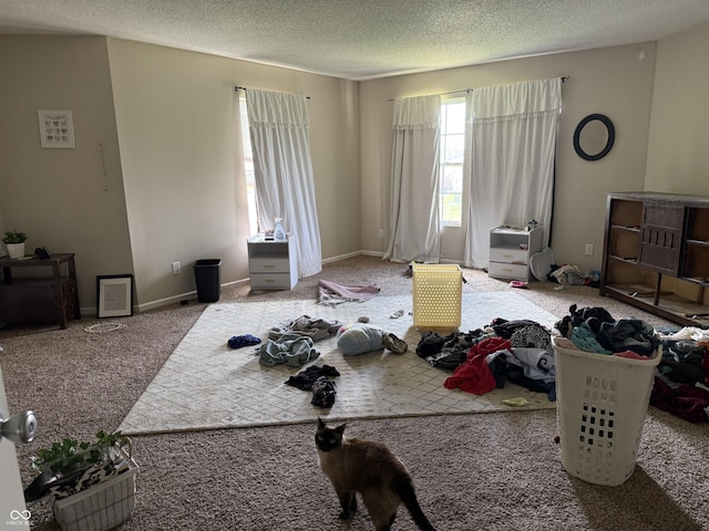 carpeted living room featuring a textured ceiling