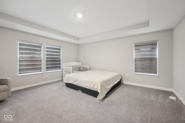15418 Tattersalls Ln, Fishers, IN 46040 - bedroom with carpet and a tray ceiling