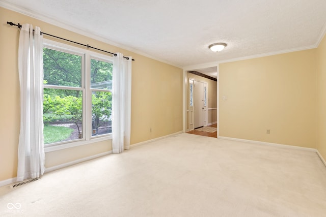 8934 Pinyon Ct, Indianapolis, IN 46260 - spare room featuring ornamental molding, carpet floors, baseboards, and a textured ceiling