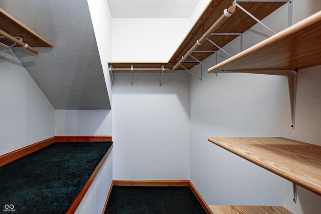 7333 State Road 42, Martinsville, IN 46151 - view of spacious closet