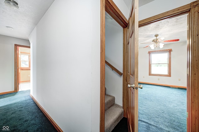 7333 State Road 42, Martinsville, IN 46151 - stairs featuring carpet flooring, a textured ceiling, baseboards, and a ceiling fan