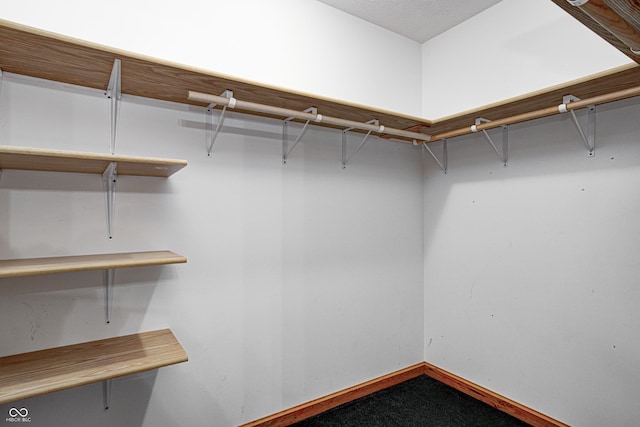 7333 State Road 42, Martinsville, IN 46151 - walk in closet with carpet floors