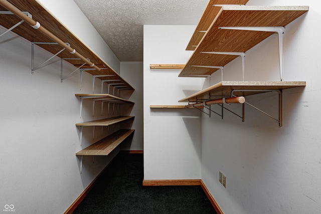 7333 State Road 42, Martinsville, IN 46151 - walk in closet with carpet