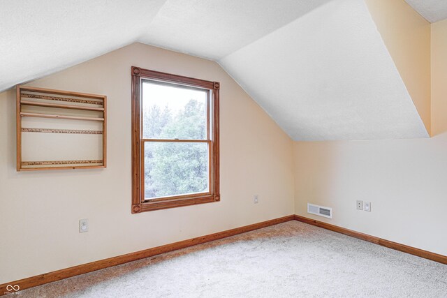 7333 State Road 42, Martinsville, IN 46151 - additional living space with lofted ceiling, baseboards, and carpet