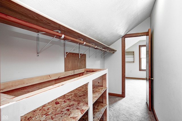 7333 State Road 42, Martinsville, IN 46151 - spacious closet featuring carpet flooring and lofted ceiling